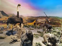 -国家自然博物馆