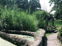 -成都市活水公园