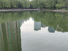 -团结湖公园