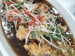 -锦水苑川菜馆(风格雅园店)