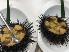 海胆-奕景海鲜(星海广场店)