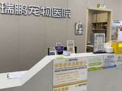 -瑞鹏宠物医院·骨外科·心肾科·肿瘤科(九亭店)