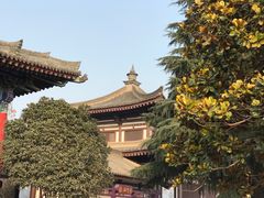 -法门文化景区