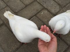 -南昌之星游乐场