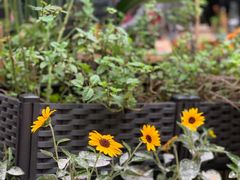 -艾加柒克蛋糕茶歇甜品台(春熙路店)