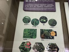 -北京中医药大学-中医药博物馆