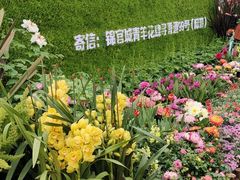 -成都市文化公园