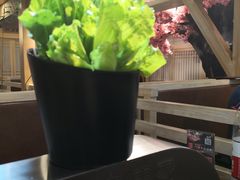 -九田家黑牛烤肉料理(太阳城店)