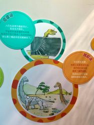 -恐龙探索乐园(磁器口店)