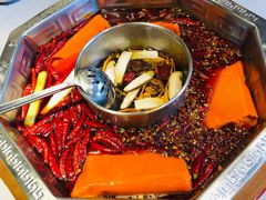 -蜀九香火锅(九眼桥店)