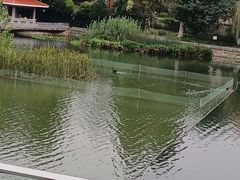 -箸福·夜上海(月牙湖公园店)