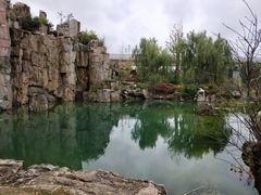 -秀丽东方