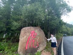 -横道河子东北虎林园