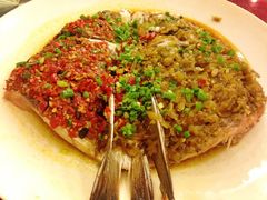 -海河游船-永乐码头(大悲院)