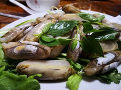 -金砂阿洲鱼册店