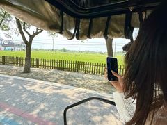 -丫丫蟹庄·苏式园林农家乐·阳澄湖大闸蟹(阳澄湖莲花岛店)