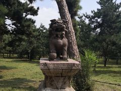 -沈阳市东陵公园