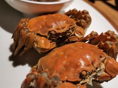 -扬州狮子楼·非遗淮扬菜(东关街店)