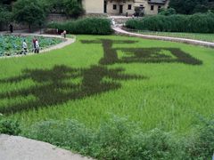 -韶山毛泽东同志故居