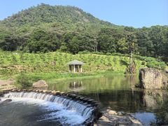 -广州市石门国家森林公园