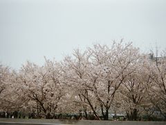 -柯达真美(老重庆中路店)