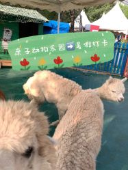 点击看大图 -萌宠亲子动物乐园(槐房万达店)