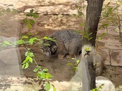 -青藏高原野生动物园