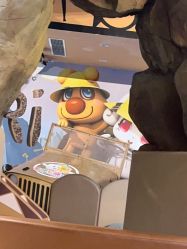 -卡通尼·Safari非洲探索乐园·生日会(金桥国际商业广场店)