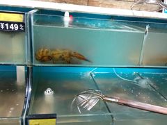 -蟹谢蒸鲜自助餐厅