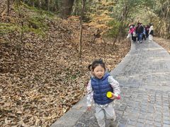 -紫金山山顶公园
