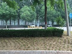-五环公园