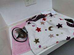 -关爱宠物医院·猫科中心·消化科(滨湖万达分院)
