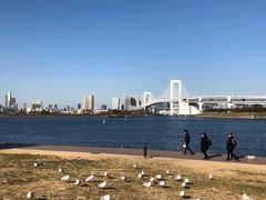 -台场海滨公园船码头