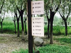 -太湖湖滨国家湿地公园-停车场