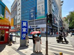 -德禄酸奶(莫家街店)