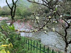 -杭州少年儿童公园