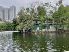 -荔湾湖公园