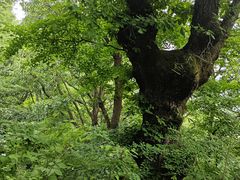 -终南山南五台景区