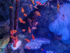 -沈阳海洋探索中心