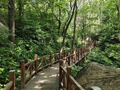 -大岭沟猕猴桃谷风景区