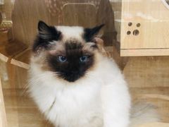 -美家乐农庄·露营·团建(大治路店)