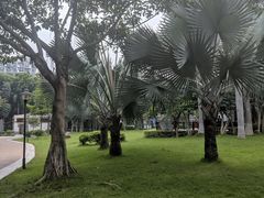 -同德公园