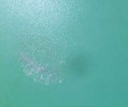 -小苹果儿童摄影(崇安店)