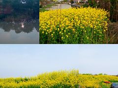 -华夏文化旅游区三甲港海滨区
