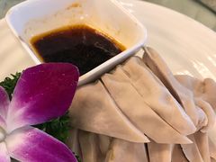 白切肚子-新聚丰菜馆(太监弄店)