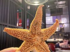 -深海壹品海鲜自助餐厅(吾悦广场店)