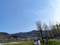 -千年银杏谷文化旅游区