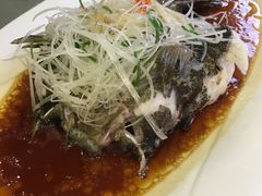 -樱苑(四川北路店)