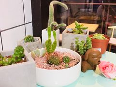 -蜜蜂小象·榴莲千层蛋糕(时代汇11栋店)