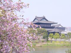 -海珠湖公园